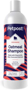 shampoing naturel pour chien